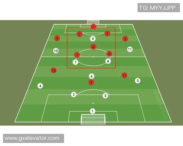 武汉排球队的盯防体系解析与战术运用探讨