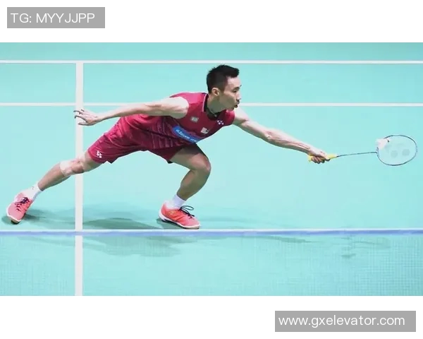 羽毛球新手必看:从基础到战术的全面入门指南 羽毛球新手必看:从基础到战术的全面入门指南